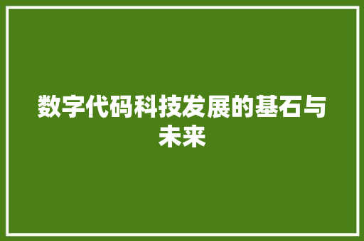数字代码科技发展的基石与未来