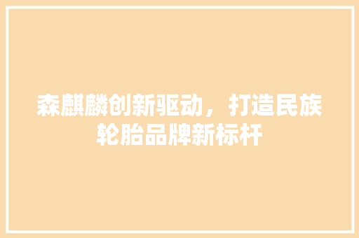 森麒麟创新驱动，打造民族轮胎品牌新标杆