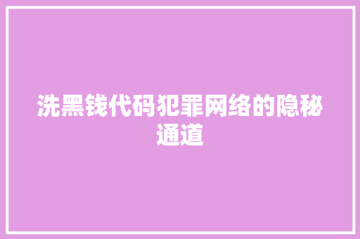 洗黑钱代码犯罪网络的隐秘通道