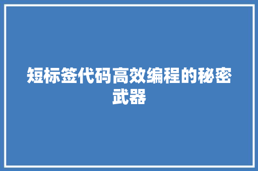 短标签代码高效编程的秘密武器