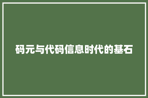 码元与代码信息时代的基石