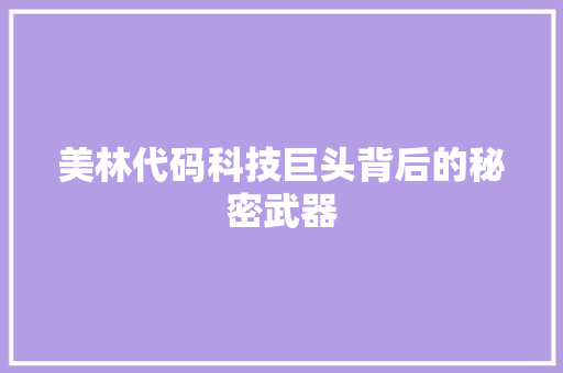 美林代码科技巨头背后的秘密武器