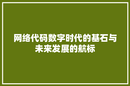网络代码数字时代的基石与未来发展的航标