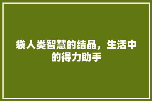 袋人类智慧的结晶，生活中的得力助手