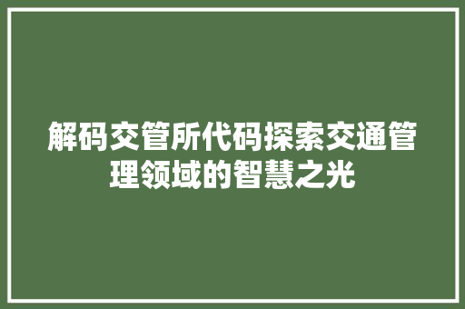 解码交管所代码探索交通管理领域的智慧之光