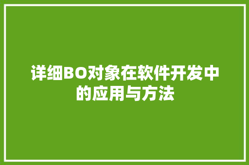 详细BO对象在软件开发中的应用与方法