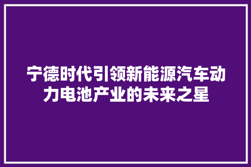 宁德时代引领新能源汽车动力电池产业的未来之星