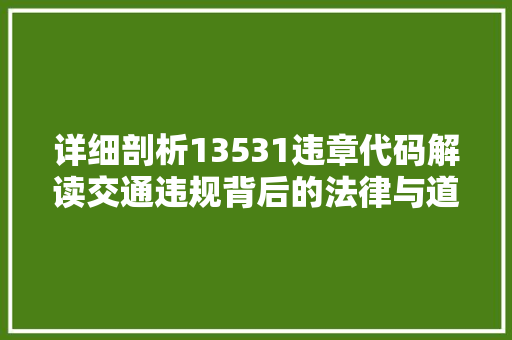 详细剖析13531违章代码解读交通违规背后的法律与道德考量