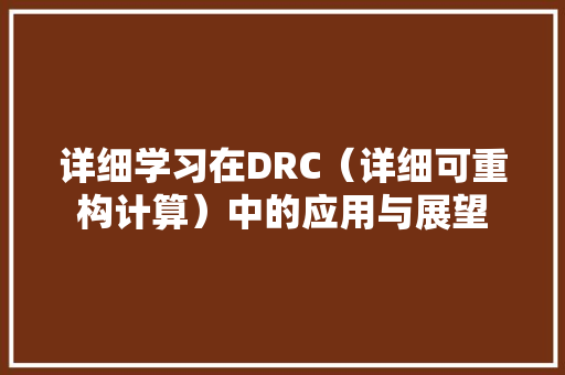 详细学习在DRC（详细可重构计算）中的应用与展望