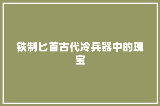 铁制匕首古代冷兵器中的瑰宝