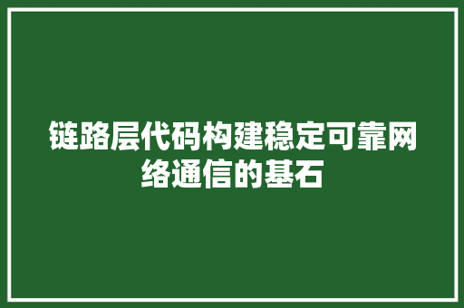 链路层代码构建稳定可靠网络通信的基石