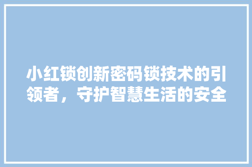 小红锁创新密码锁技术的引领者，守护智慧生活的安全大门