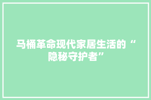 马桶革命现代家居生活的“隐秘守护者”