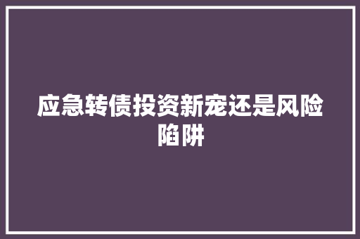 应急转债投资新宠还是风险陷阱  第1张