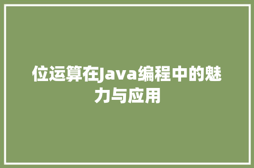 位运算在Java编程中的魅力与应用