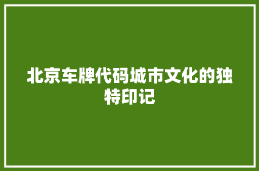 北京车牌代码城市文化的独特印记
