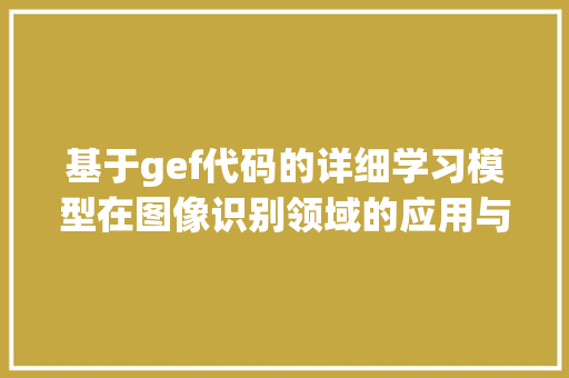 基于gef代码的详细学习模型在图像识别领域的应用与挑战
