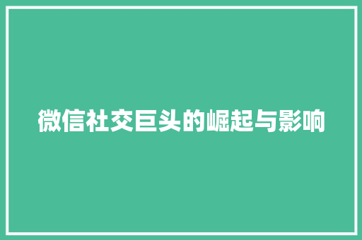 微信社交巨头的崛起与影响