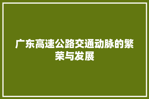 广东高速公路交通动脉的繁荣与发展
