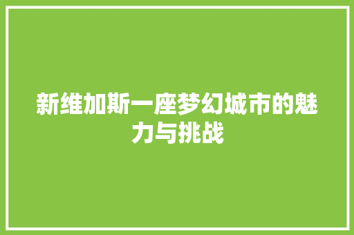 新维加斯一座梦幻城市的魅力与挑战