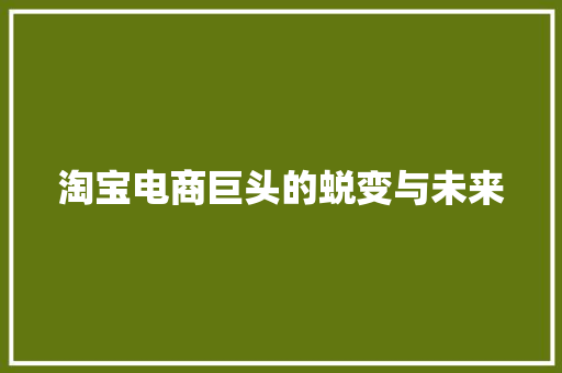 淘宝电商巨头的蜕变与未来