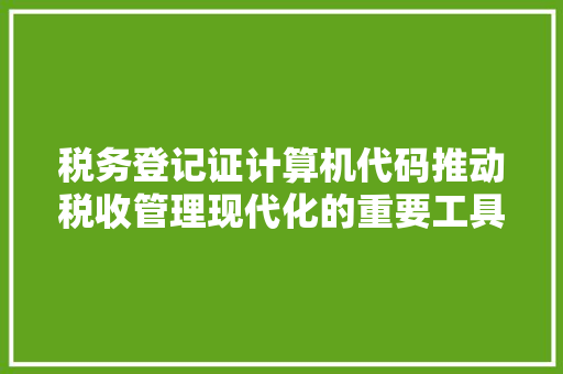 税务登记证计算机代码推动税收管理现代化的重要工具