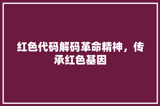 红色代码解码革命精神，传承红色基因