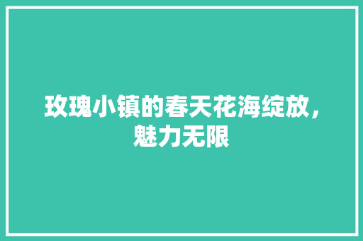 玫瑰小镇的春天花海绽放，魅力无限