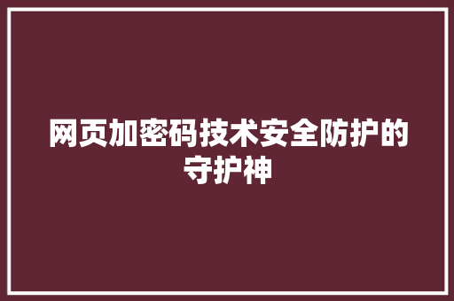 网页加密码技术安全防护的守护神