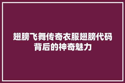 翅膀飞舞传奇衣服翅膀代码背后的神奇魅力