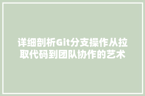 详细剖析Git分支操作从拉取代码到团队协作的艺术