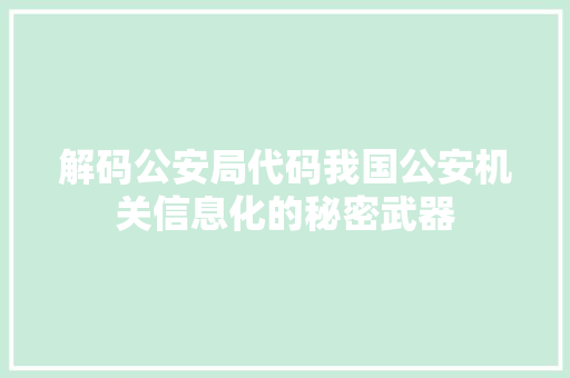 解码公安局代码我国公安机关信息化的秘密武器
