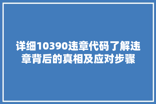 详细10390违章代码了解违章背后的真相及应对步骤