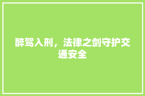 醉驾入刑，法律之剑守护交通安全