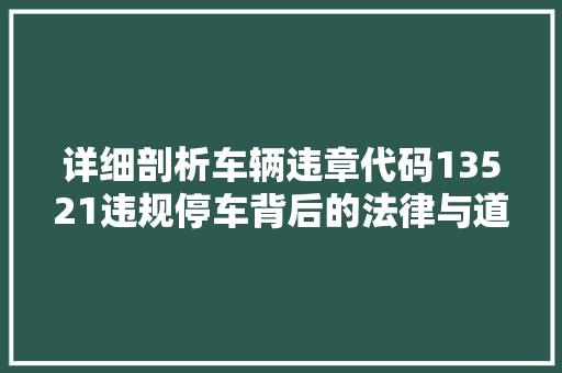 详细剖析车辆违章代码13521违规停车背后的法律与道德思考