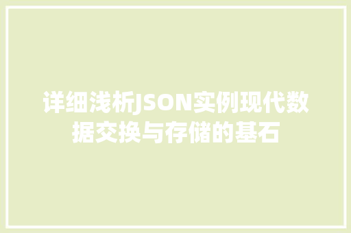 详细浅析JSON实例现代数据交换与存储的基石