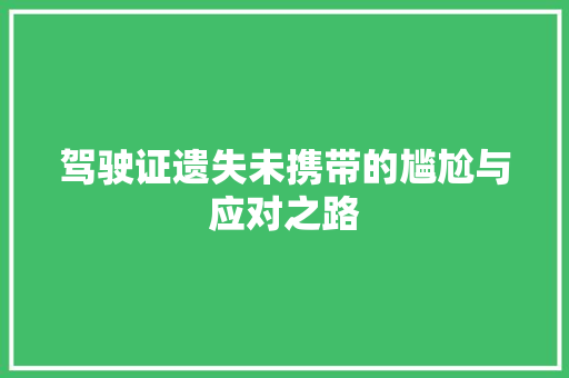 驾驶证遗失未携带的尴尬与应对之路