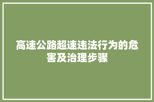 高速公路超速违法行为的危害及治理步骤