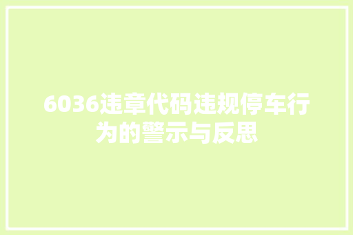 6036违章代码违规停车行为的警示与反思