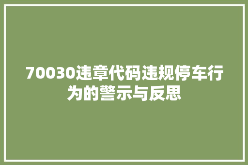 70030违章代码违规停车行为的警示与反思