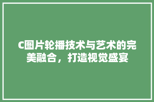 C图片轮播技术与艺术的完美融合，打造视觉盛宴