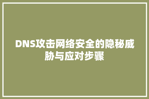 DNS攻击网络安全的隐秘威胁与应对步骤