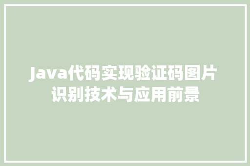 Java代码实现验证码图片识别技术与应用前景