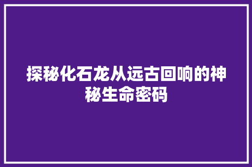 探秘化石龙从远古回响的神秘生命密码