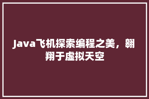 Java飞机探索编程之美，翱翔于虚拟天空