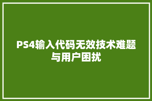 PS4输入代码无效技术难题与用户困扰