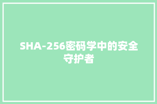 SHA-256密码学中的安全守护者