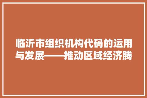 临沂市组织机构代码的运用与发展——推动区域经济腾飞的重要引擎