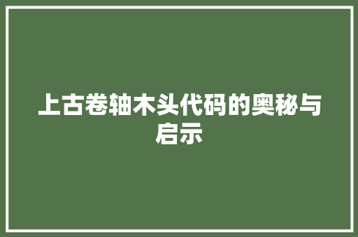 上古卷轴木头代码的奥秘与启示