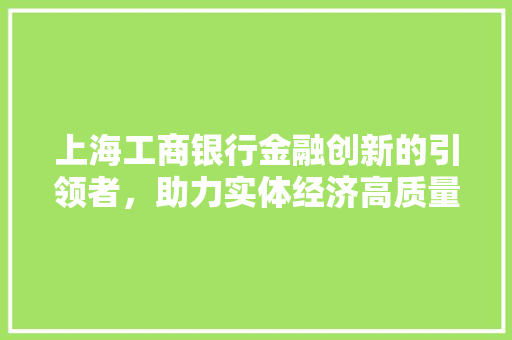 上海工商银行金融创新的引领者，助力实体经济高质量发展